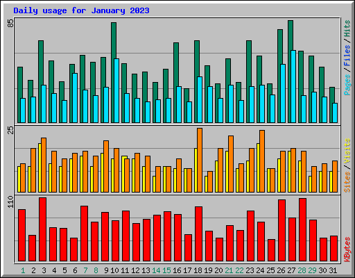 Daily usage for January 2023