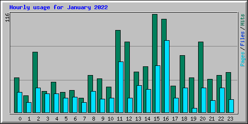 Hourly usage for January 2022