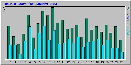 Hourly usage for January 2023